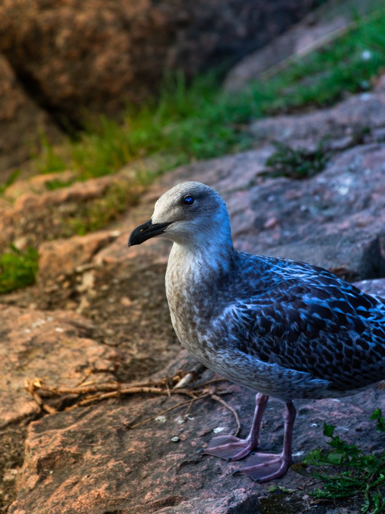 Photograph by Владислав Глинов