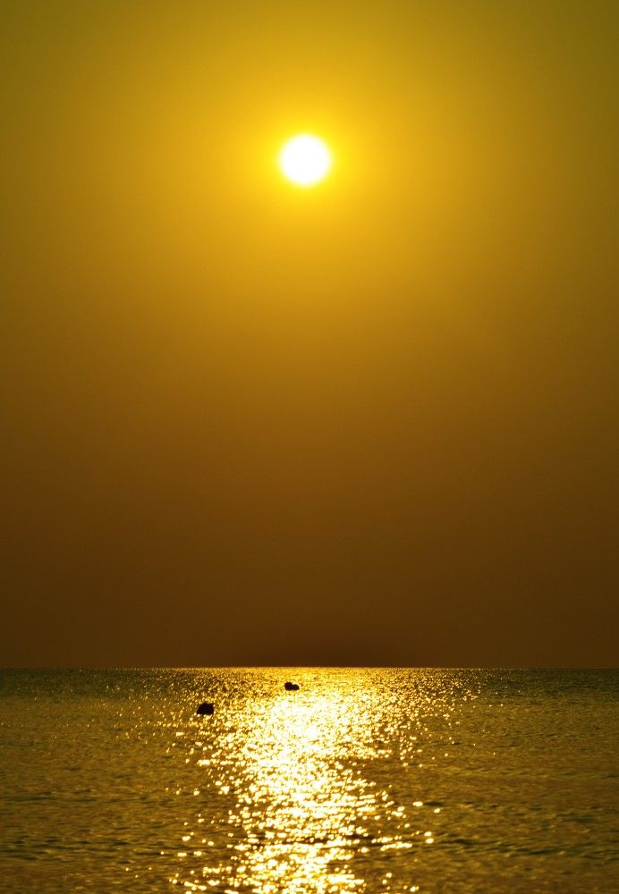 Утренний бриз