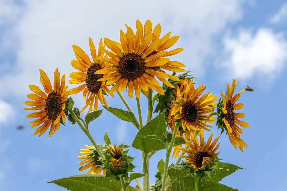 Photograph by Анатолий Костерев