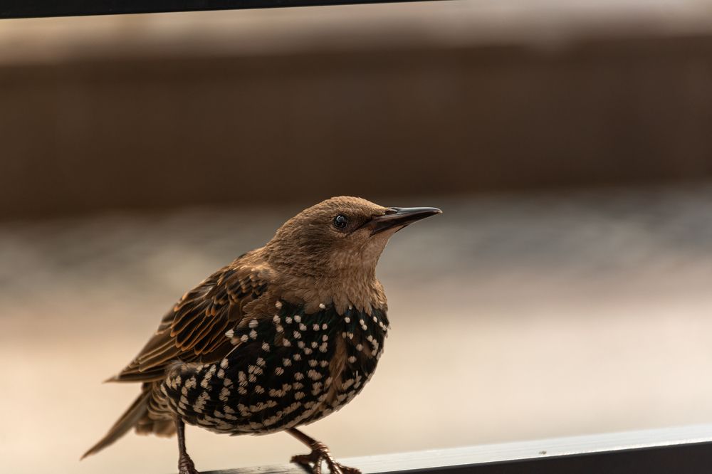 Photograph by Владислав Глинов