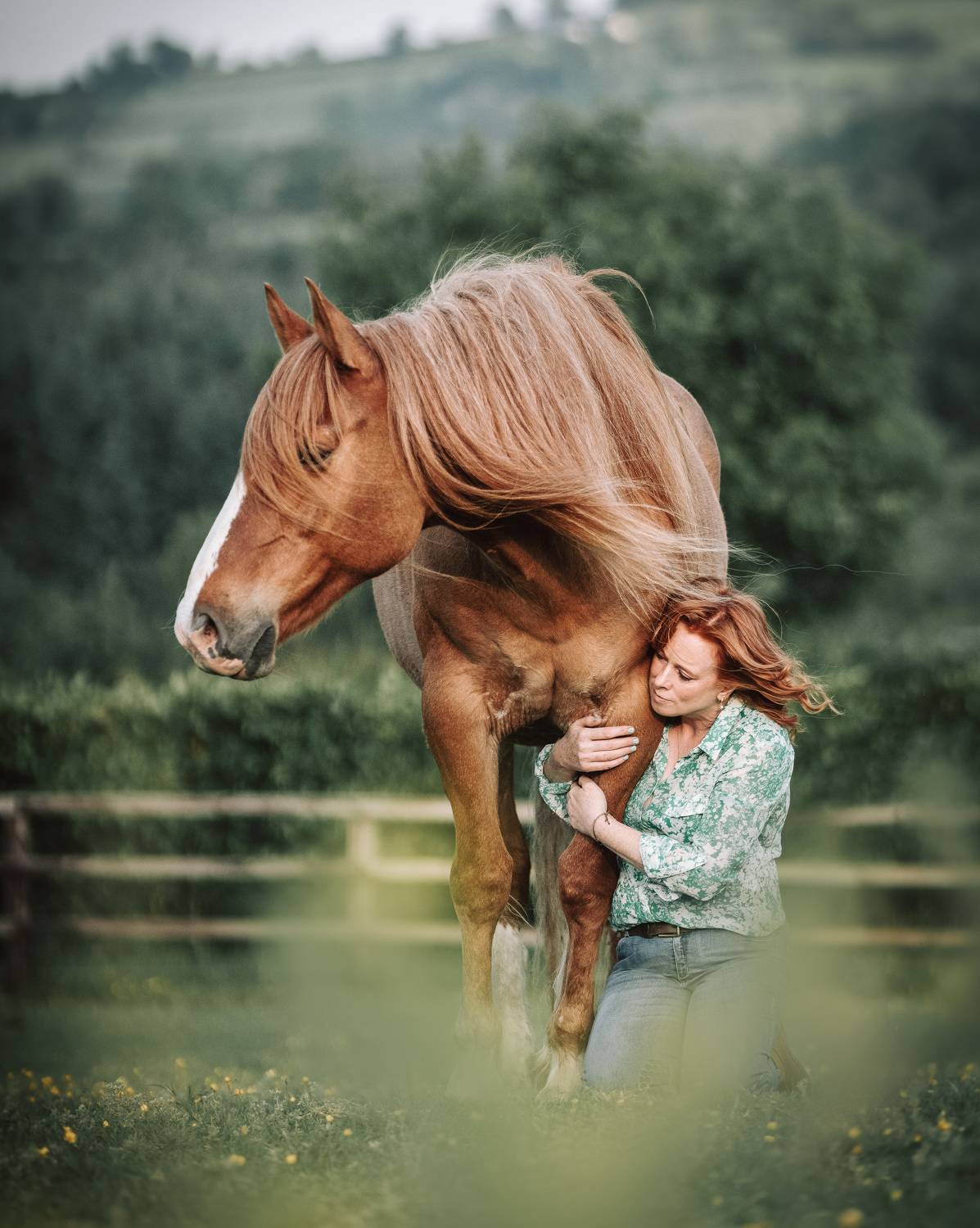 Фотография #11122601