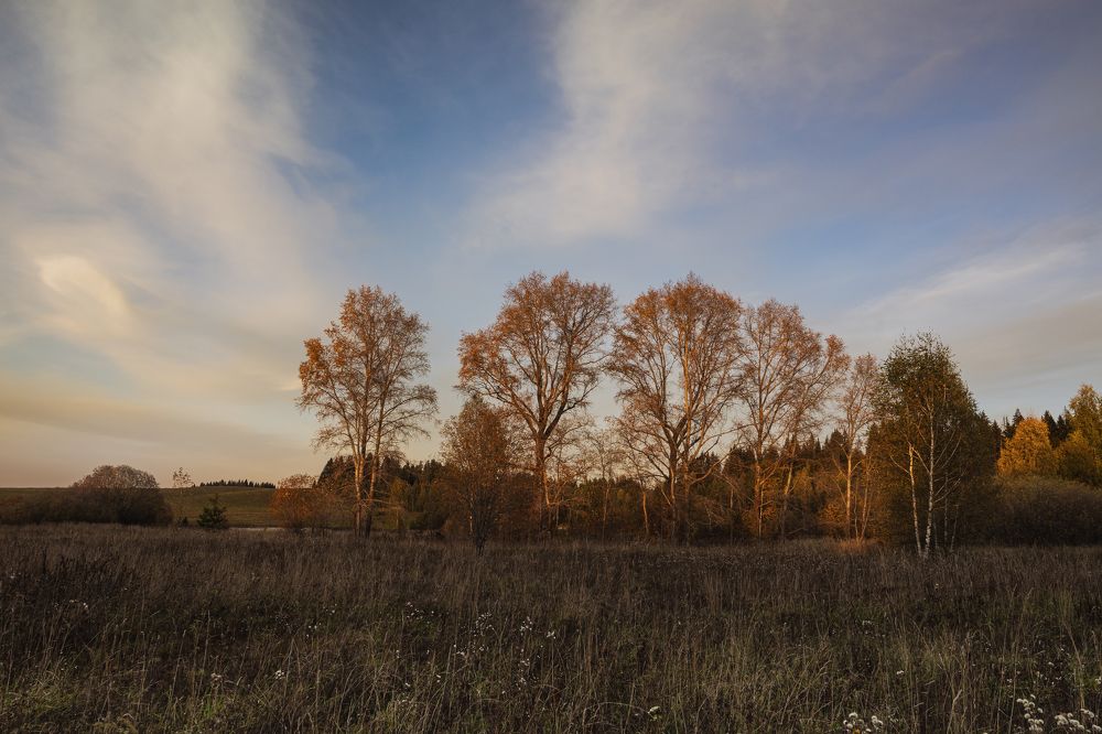 Photograph by Алексей Широбоков