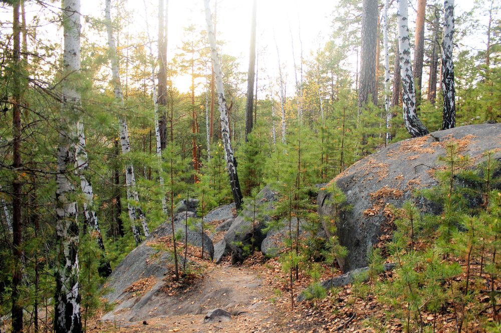 Photograph by Баженова Наталья