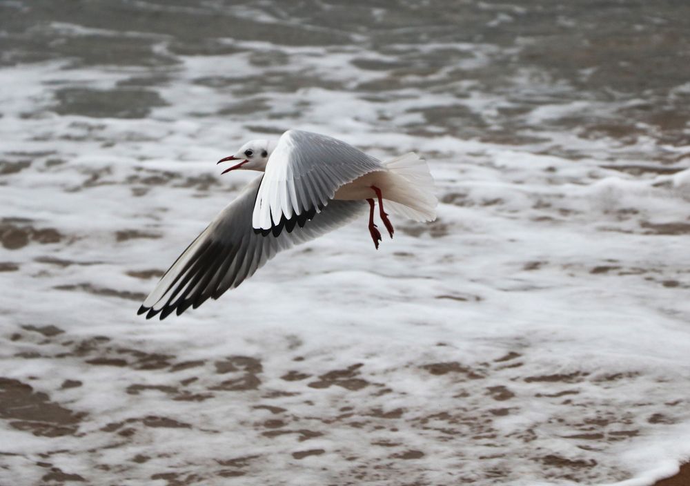 Photograph by Ксения Левченко