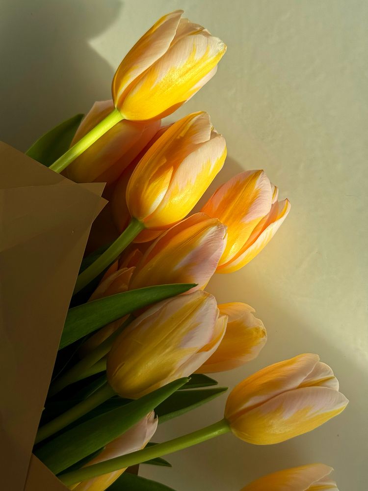 Photograph by Zhanna Kolesnikova