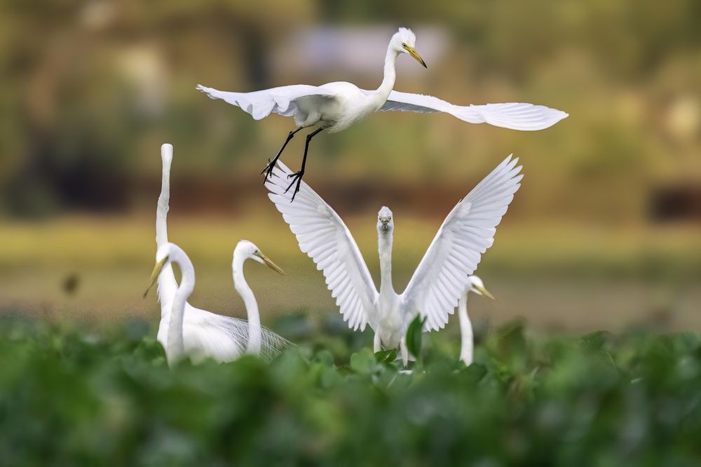 Photograph by Mohamed Raseem