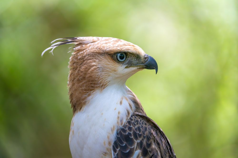 Photograph by Mohamed Raseem