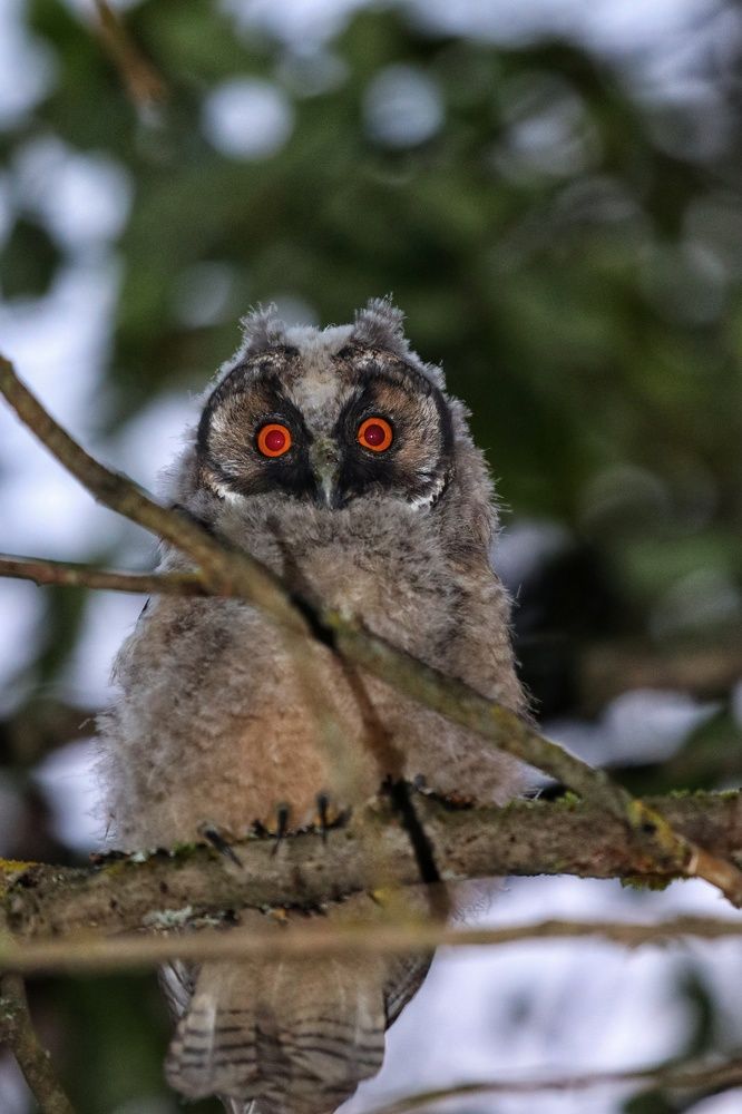 Фотография автора Роман Савин