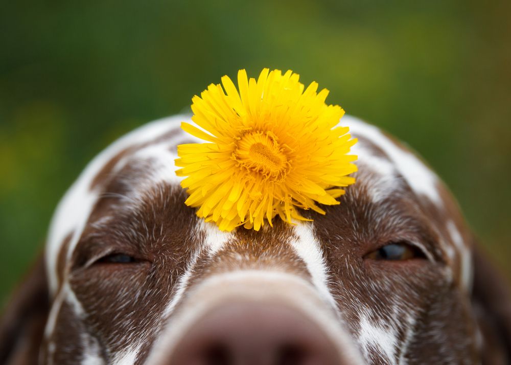 Photograph by Яна Нарбутович