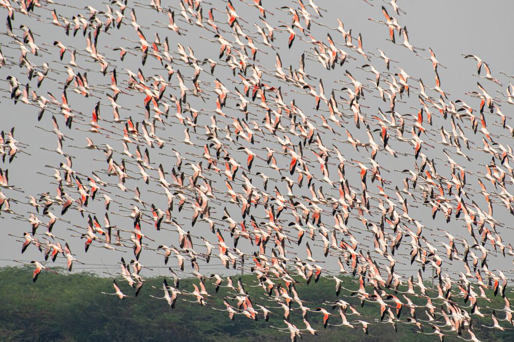 Photograph by Mohamed Raseem