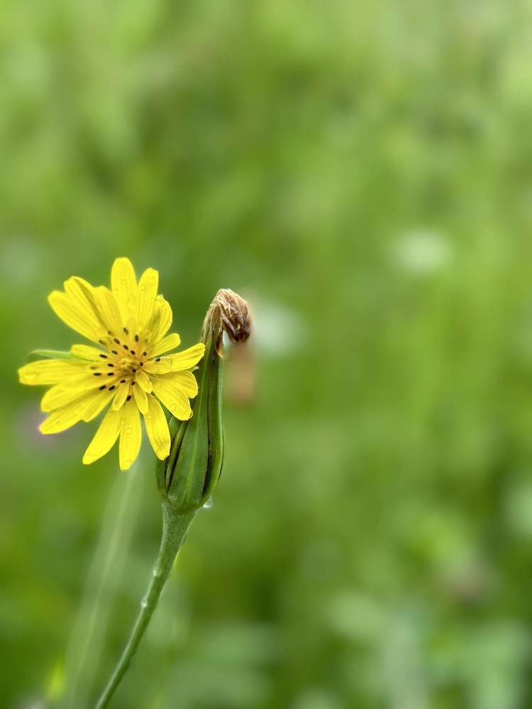 Photograph by Ольга Галкина