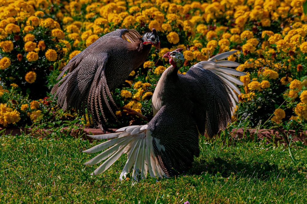 Photograph by Владислав Лопатов