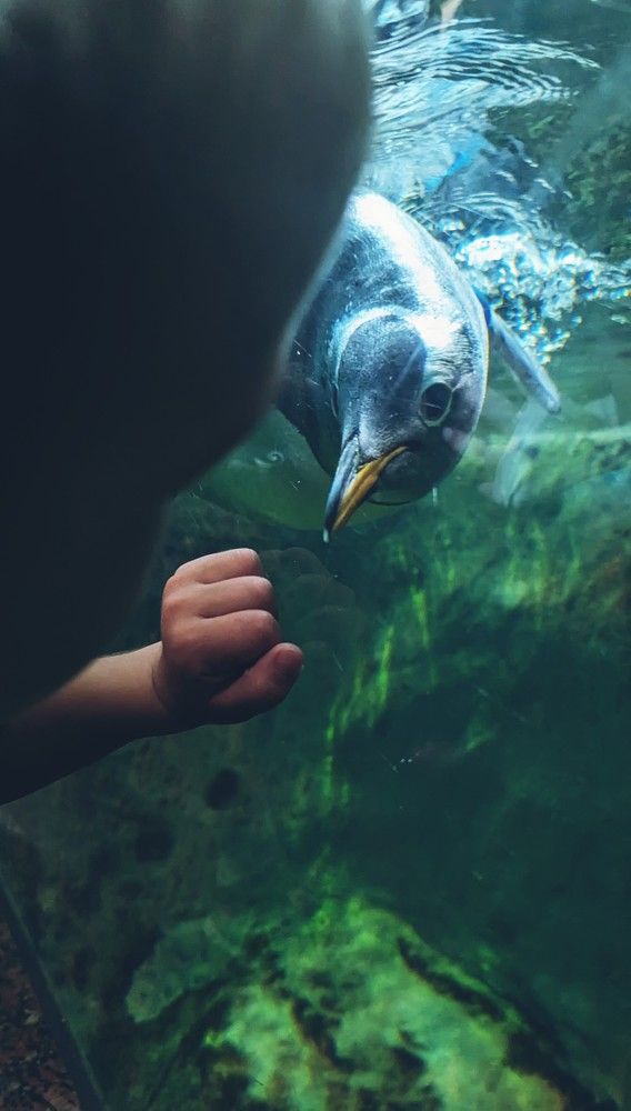 Photograph by Денис Терехин