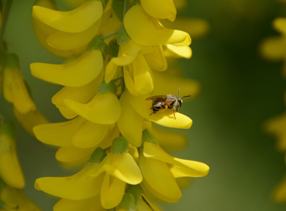 Photograph by Екатерина Крючкова