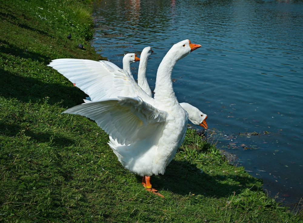 Photograph by Inna Ivanova