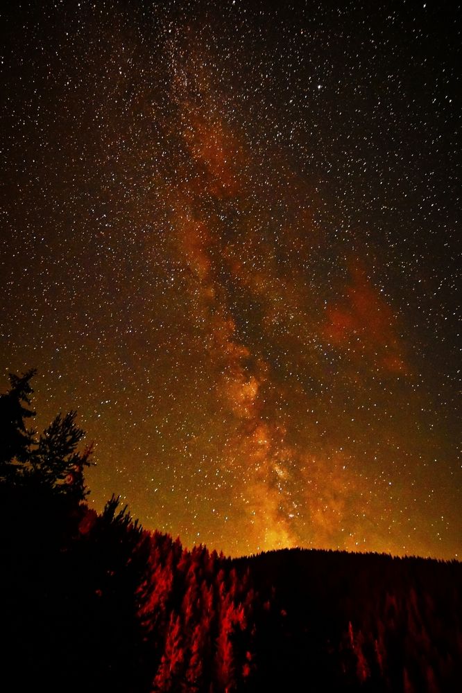 Photograph by Radoslav Stefanov