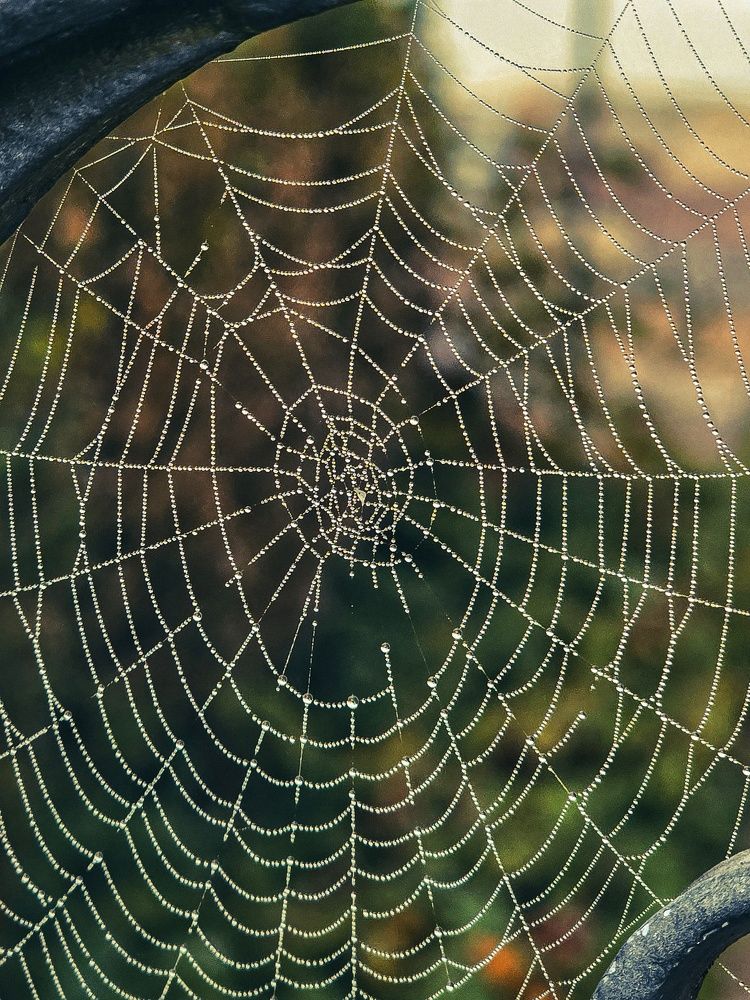 Photograph by Светлана