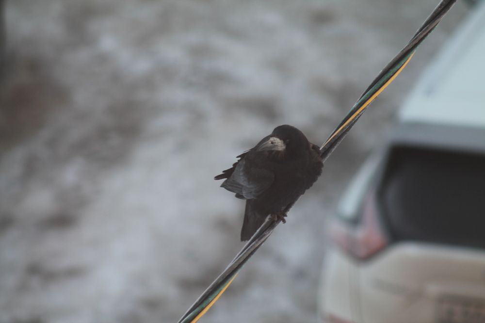 Photograph by Татьяна Краева