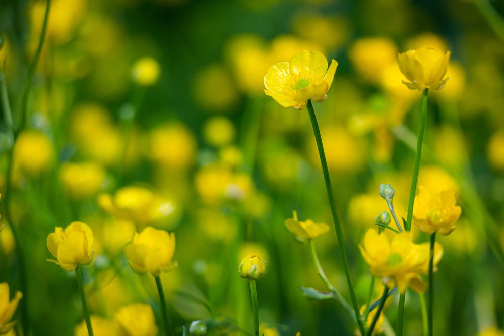 Photograph by Елена Барышева