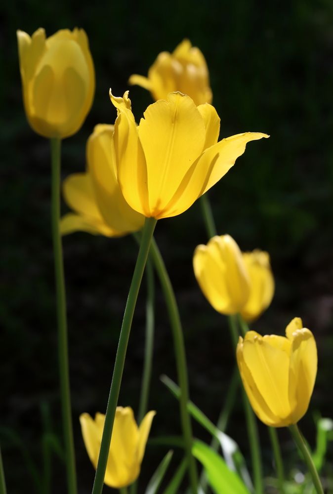 Photograph by елена