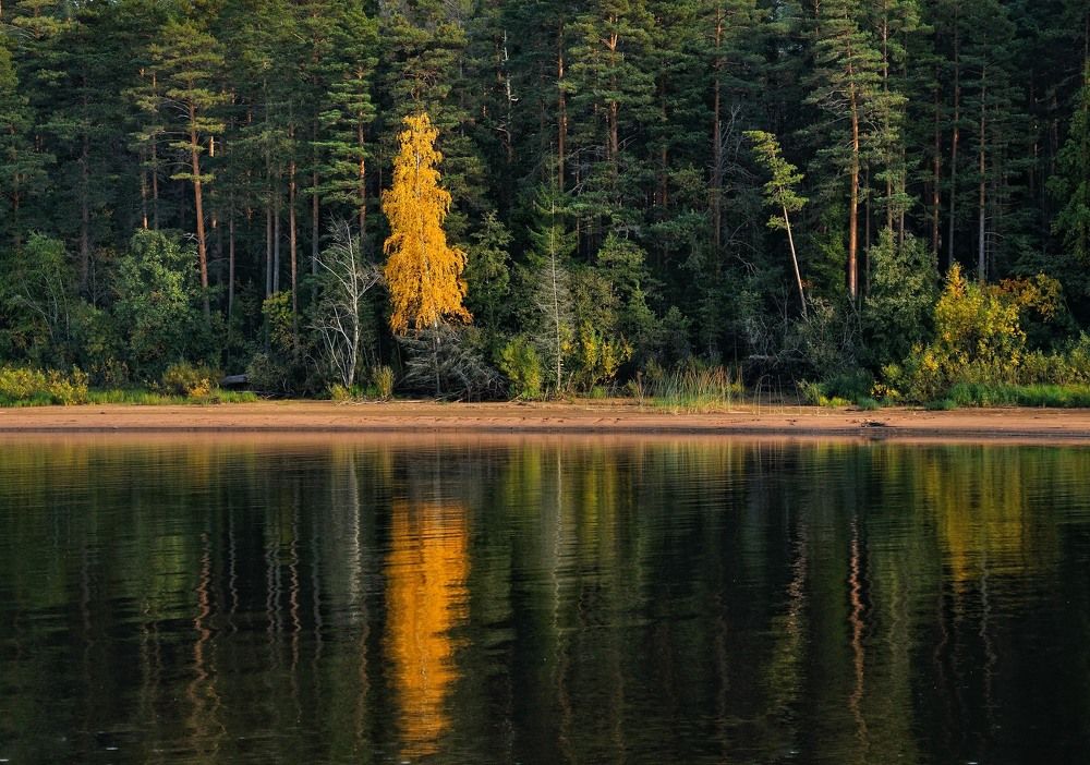 Photograph by Андрей Куликов