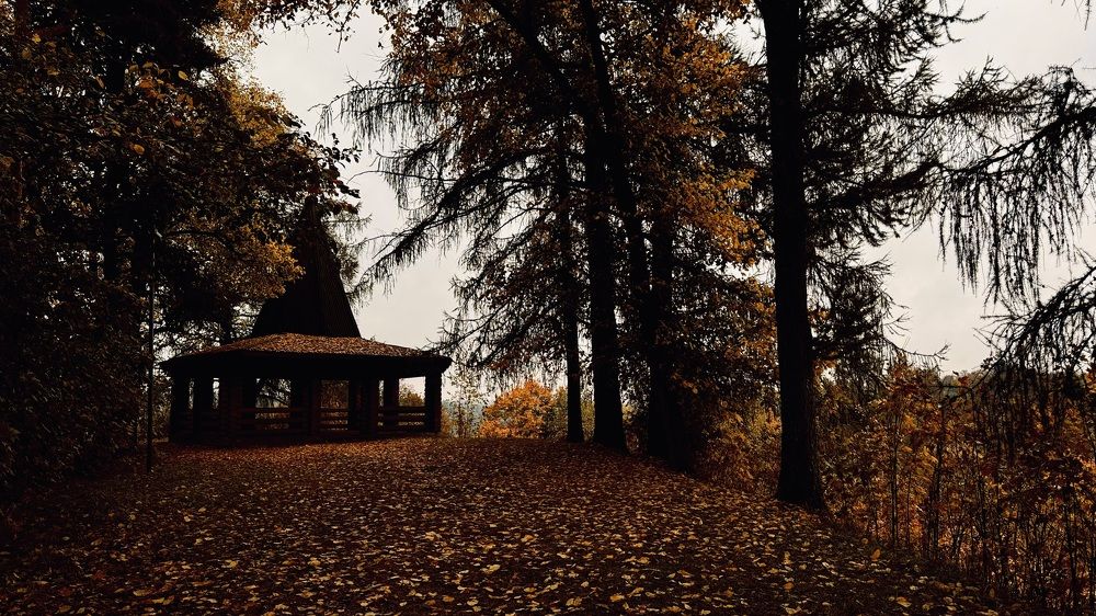 Photograph by Светлана Родионова