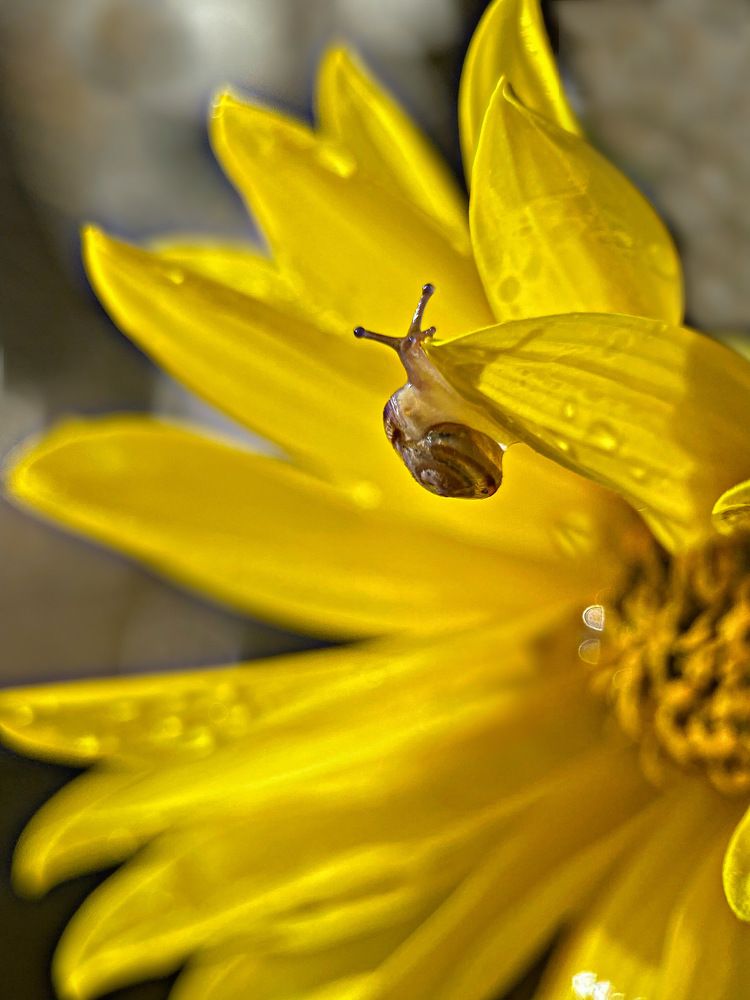 Photograph by Александра Гонтарь