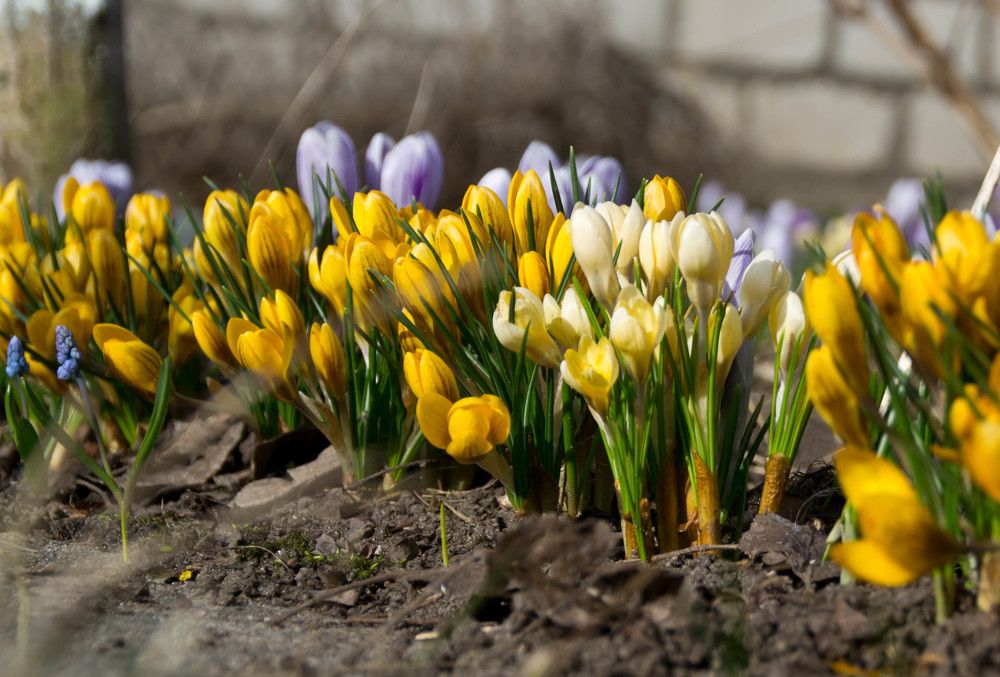 Фотография автора Юлия Кранина