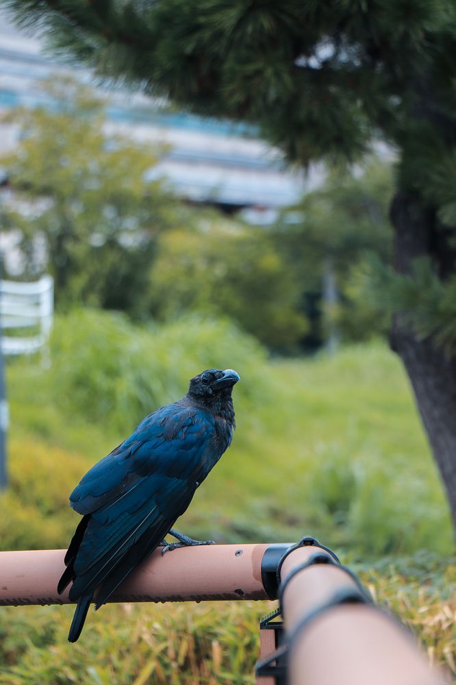 Photograph by Валерия Лунина