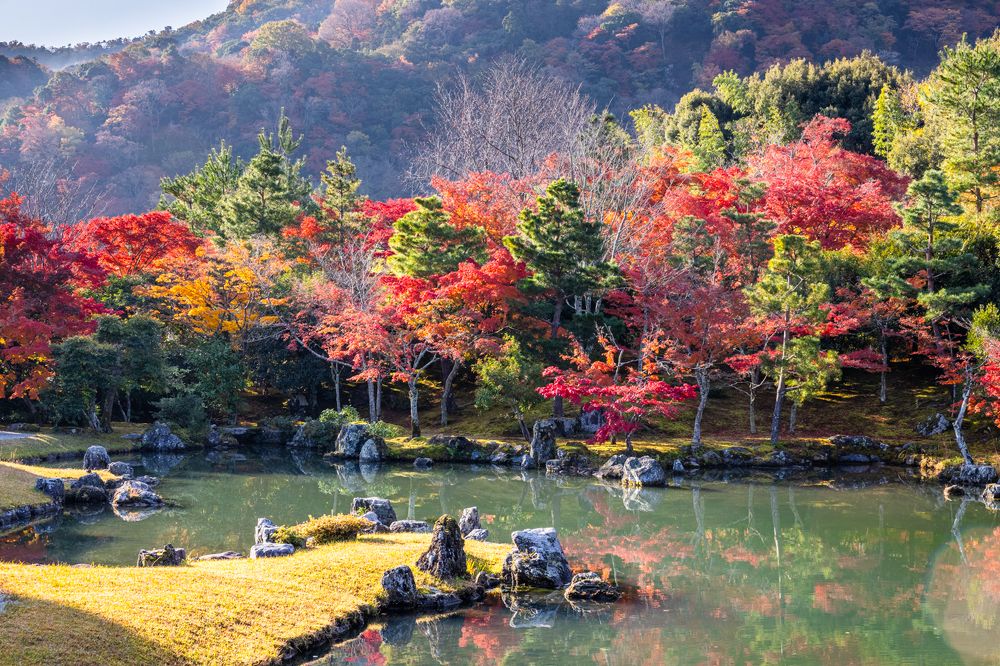 Photograph by Александр Лозицкий