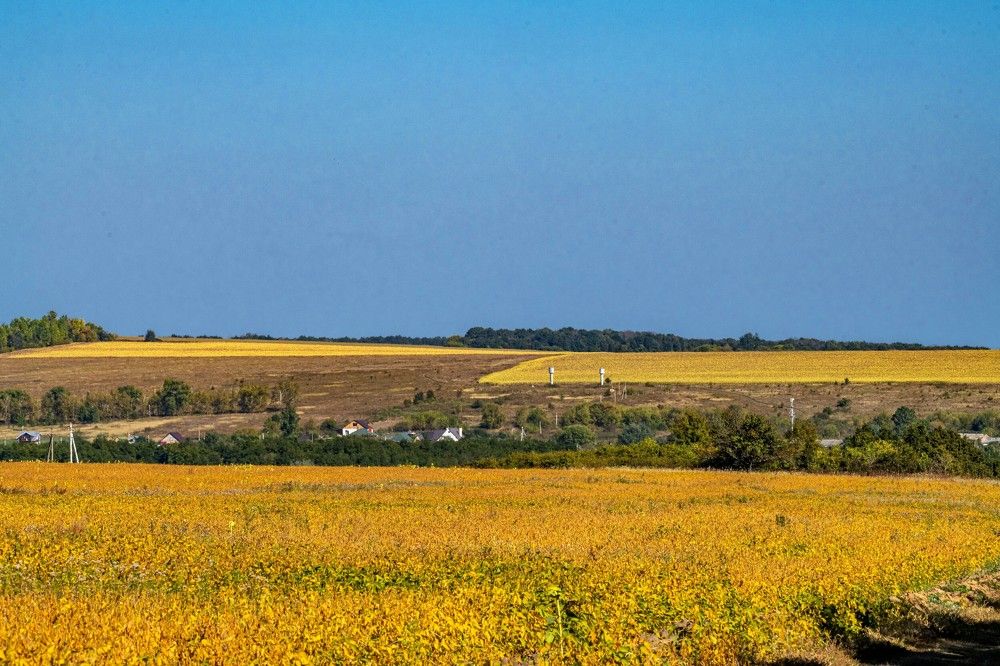 Photograph by Сиваков Алексей