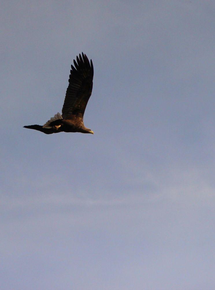 Photograph by Андрей Хитрун