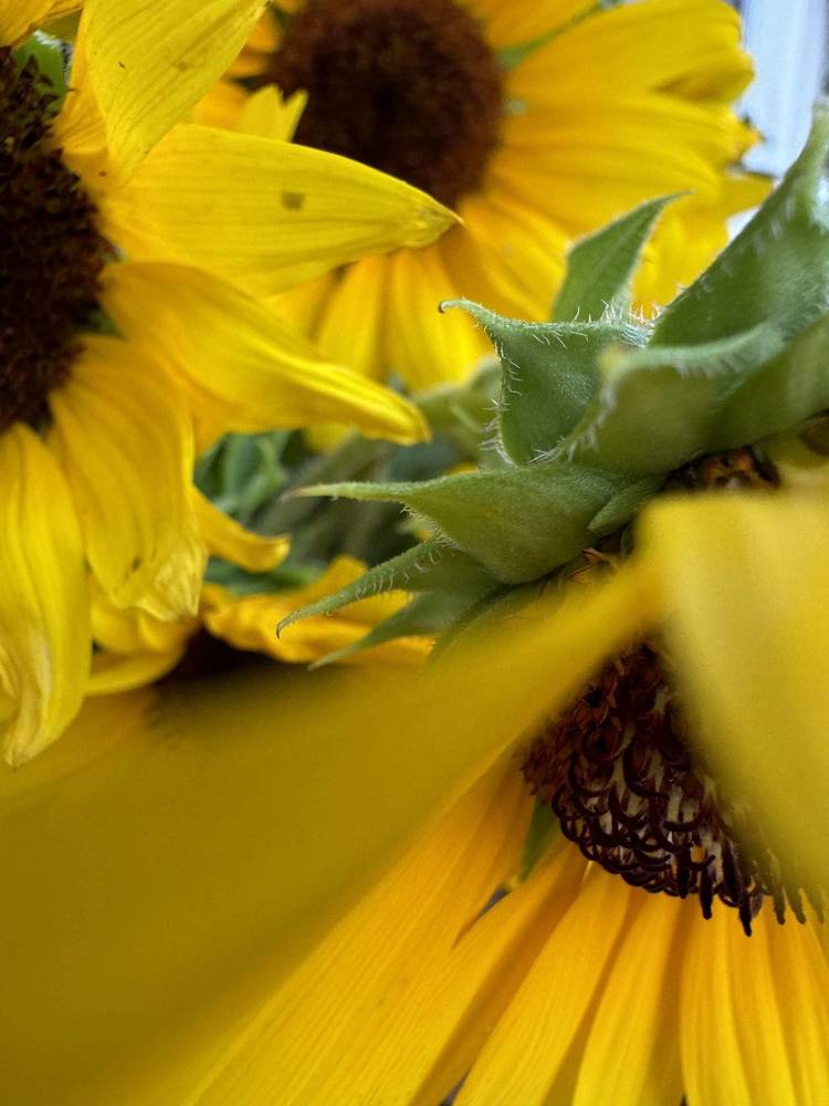 Photograph by Marianna Zakirova