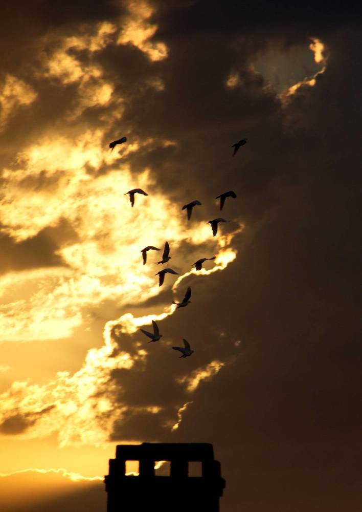 Photograph by Марина