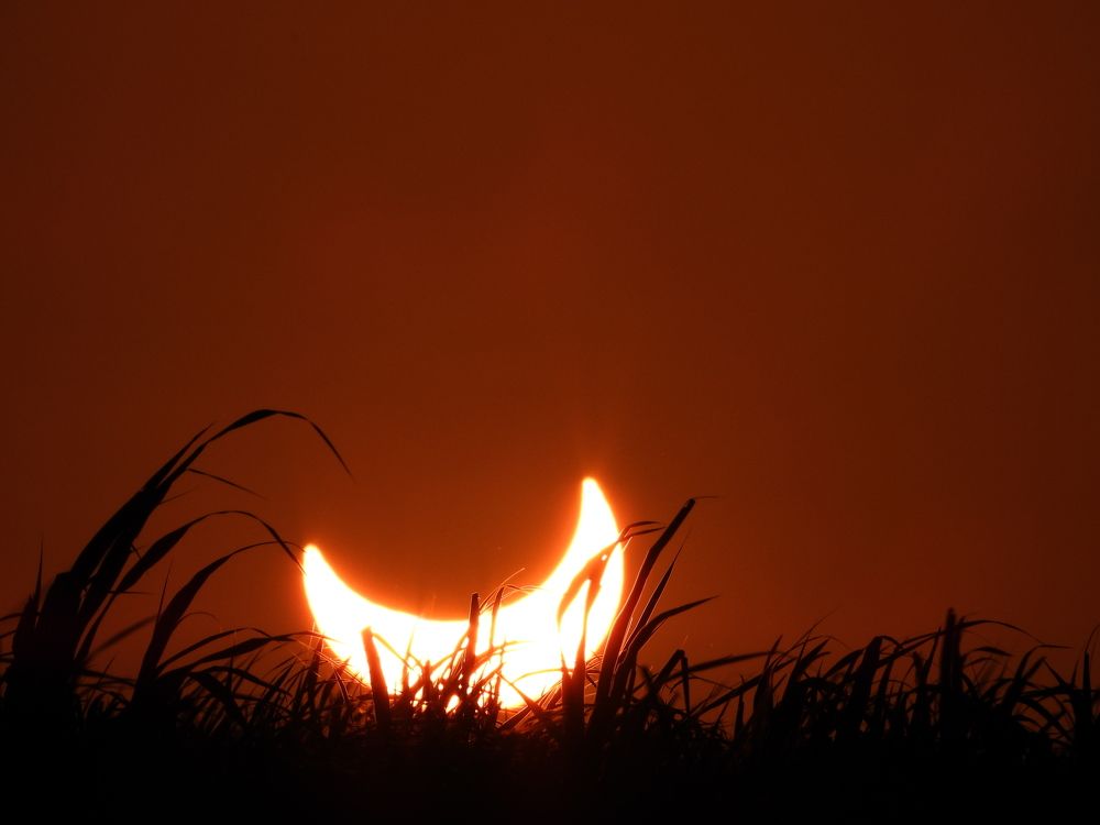 Photograph by Amaro Miranda