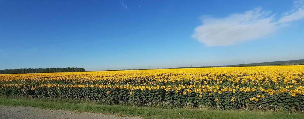 Photograph by Татьяна Тихонова