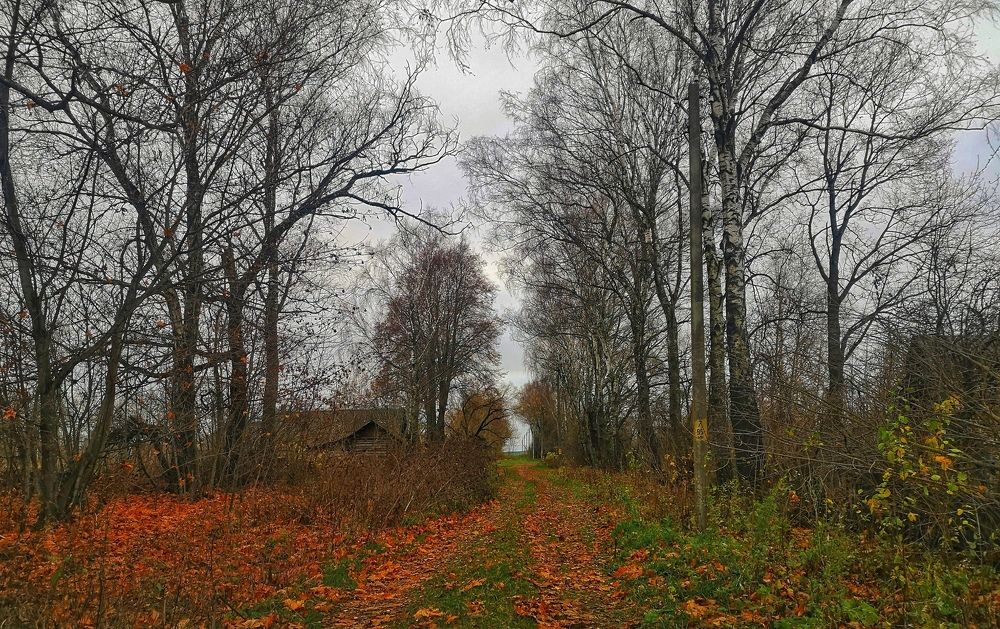 Photograph by Екатерина Борисовна Кузьмина