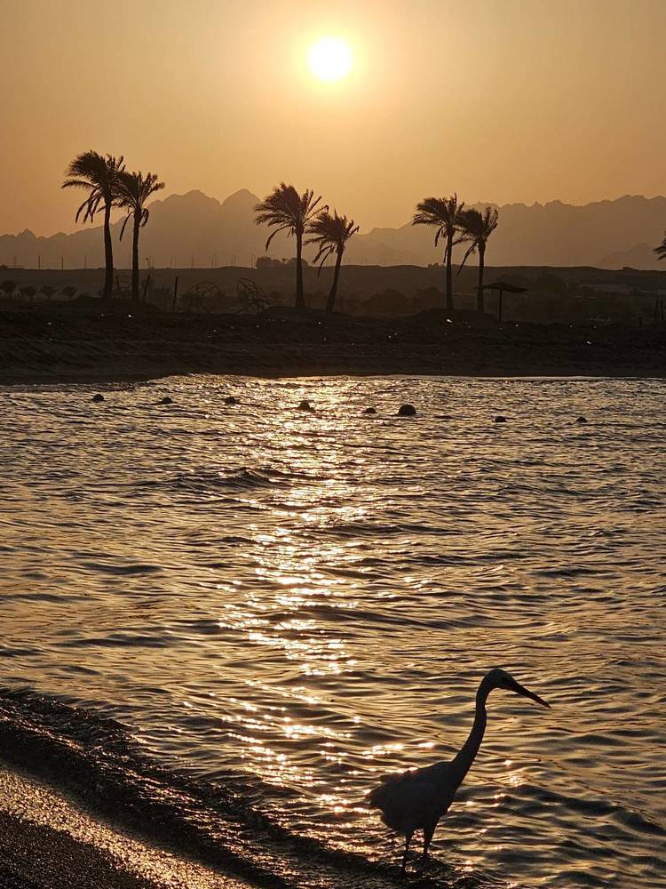 Photograph by Edmund Randal