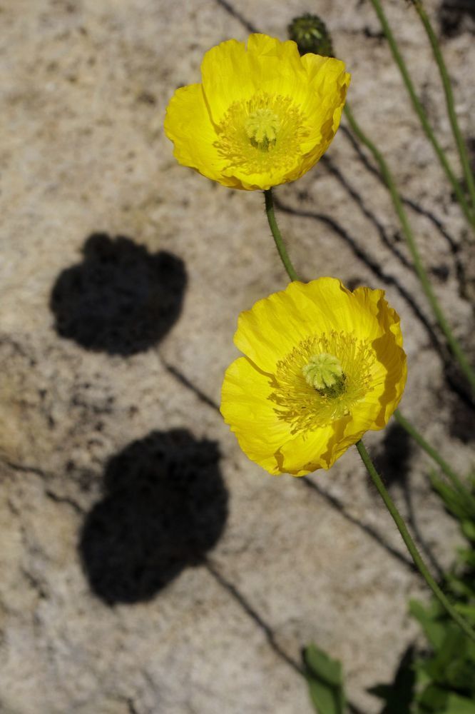 Photograph by Александр К