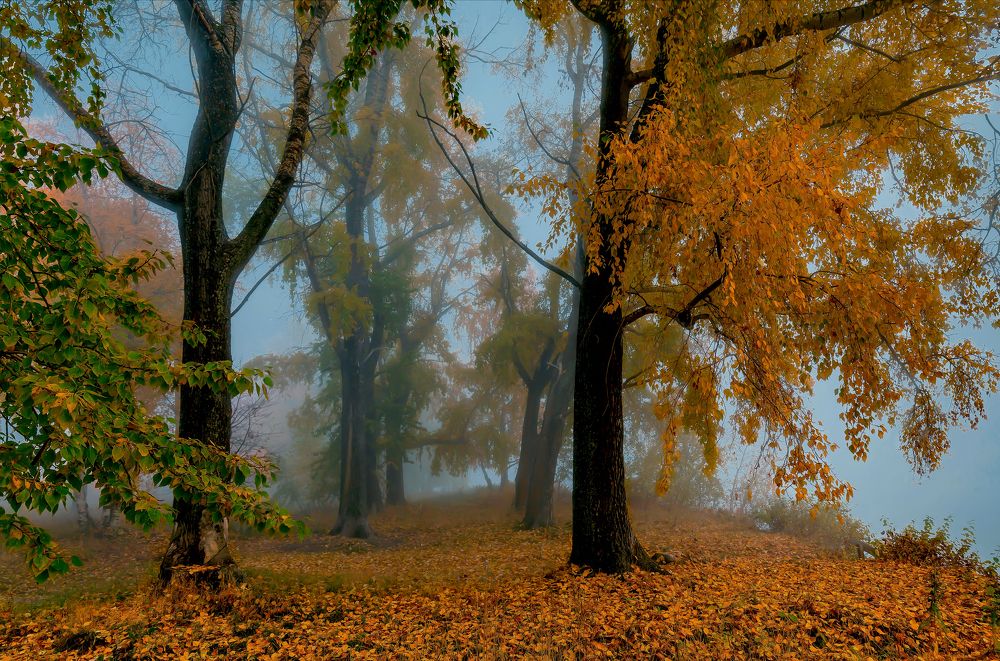 Туманный вечер.