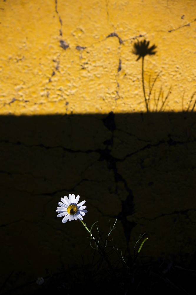Photograph by Анна Козинова