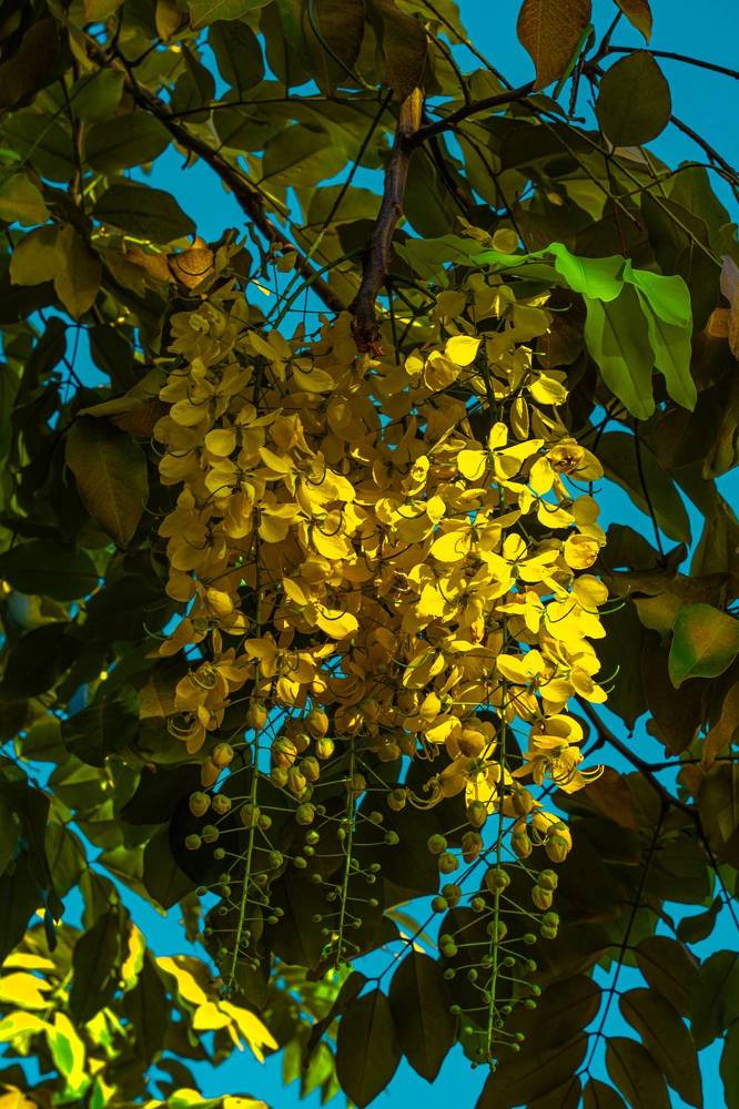 Photograph by Igor Shulkin