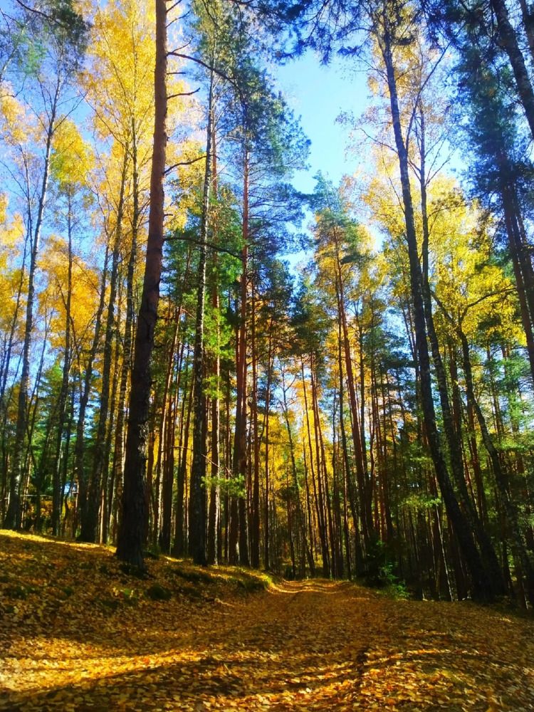 Photograph by Любовь Коровацкая