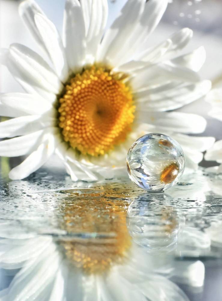 Photograph by Olga Asson