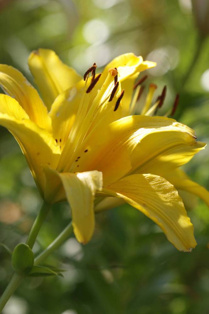 Photograph by Надежда Зайцева