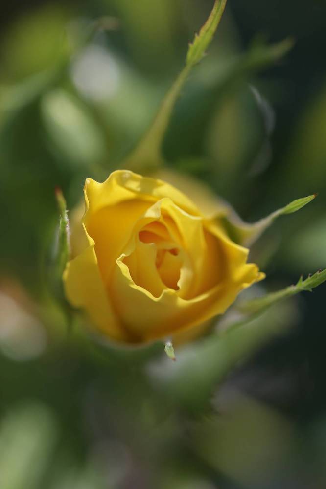 Photograph by Надежда Зайцева