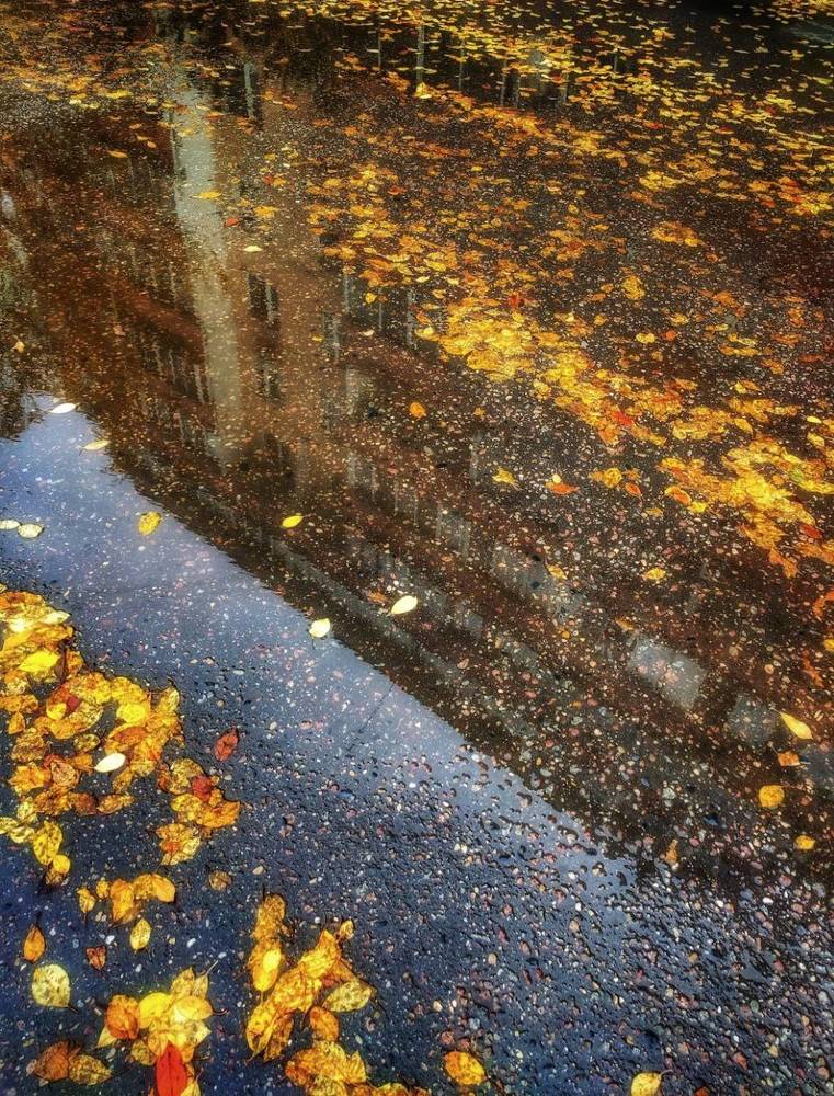 Photograph by Надежда