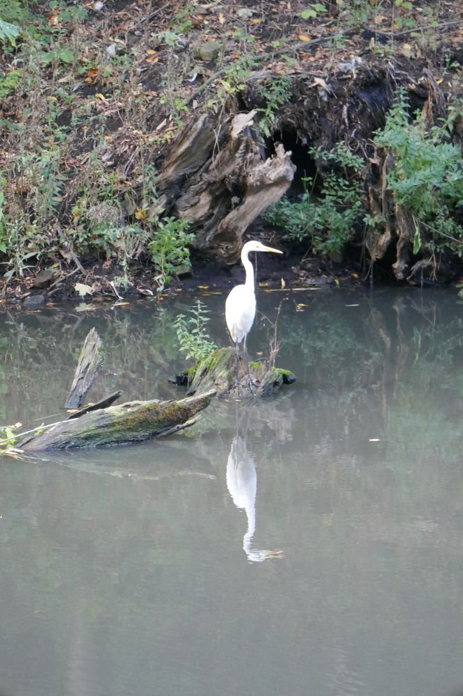 Photograph by Антон