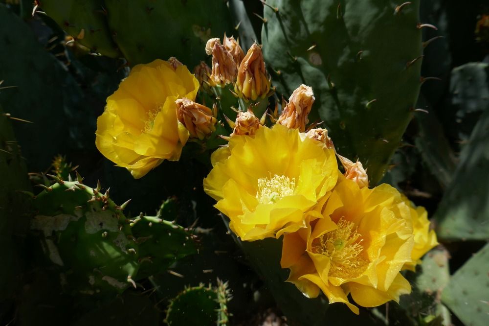 Photograph by Антон