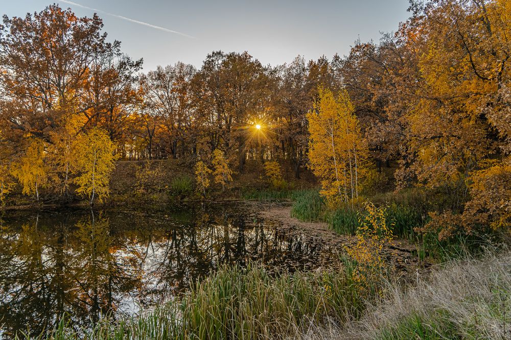 Фотография автора Николай Бологов